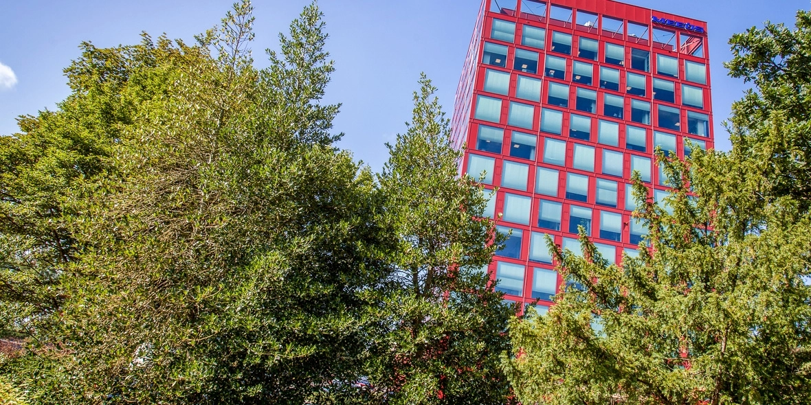 Zakelijke verhuizingen